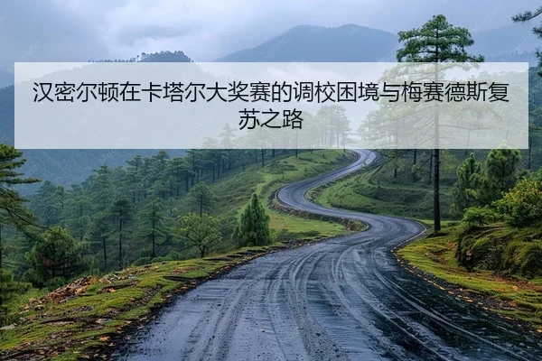 han-mi-er-dun-zai-ka-ta-er-da-jiang-sai-de-diao-xiao-kun-jing-yu-mei-sai-de-si-fu-su-zhi-lu-2-901.jpg
